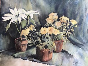 Jaap van Veen - 3 aquarellen in één koop! kopen? Bied vanaf 45!