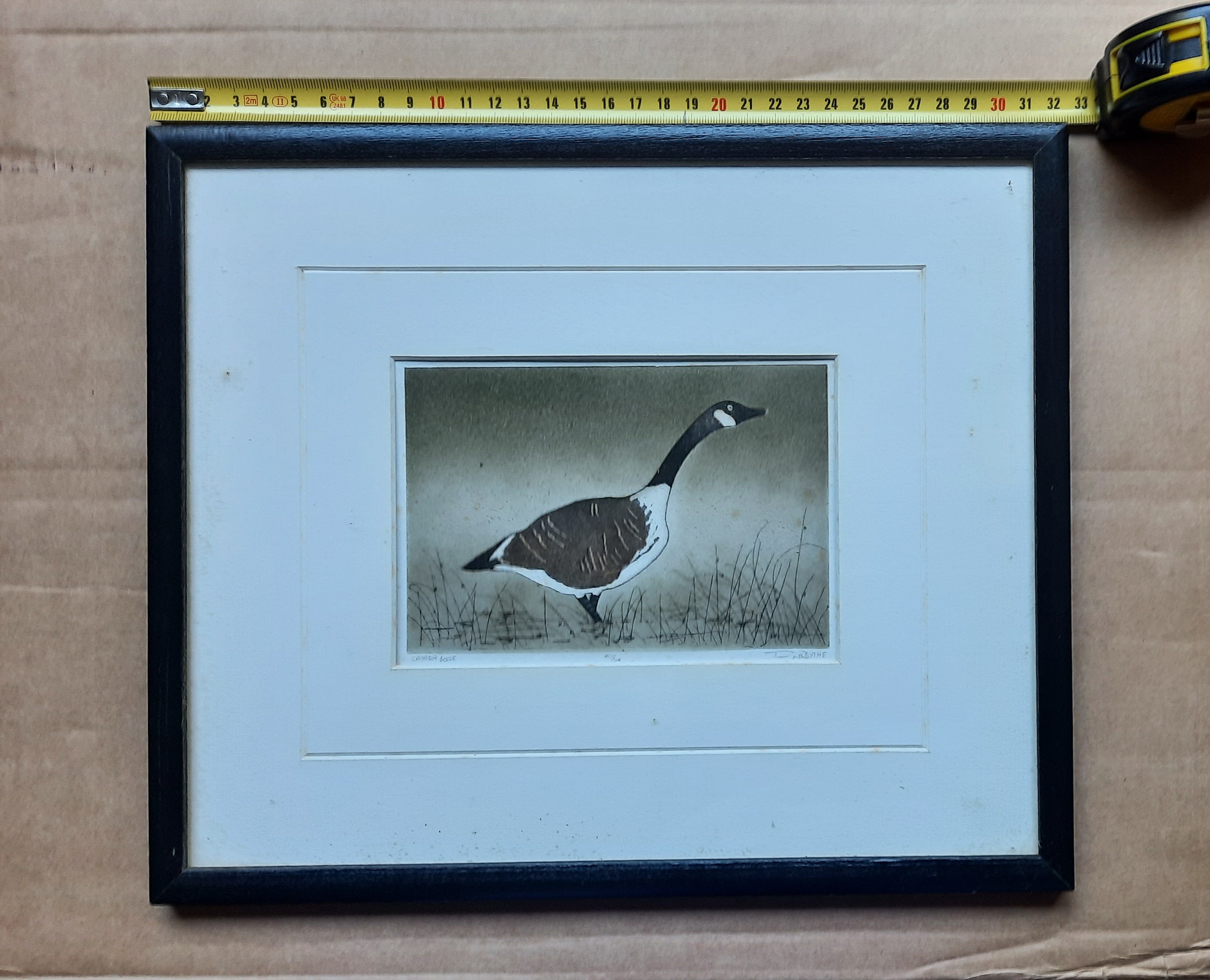AcheterDouglas Forsythe - Canada Goose? Enchérissez de 30!