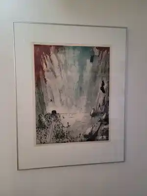 Frank Porcelijn - Soa S-13 vendu pour 50€ !