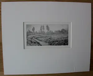 Reinder Homan - Ets: Landschap met een sloot - 1989 kopen? Bied vanaf 115!