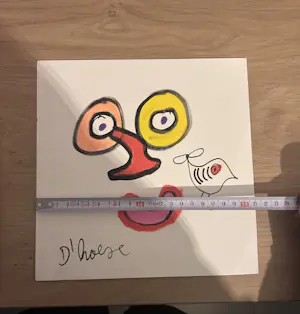 Hannes D'Haese - Clown kopen? Bied vanaf 150!