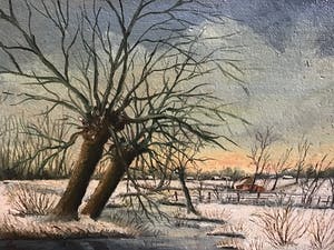 Marinus van der Sangen - Witerwilgen aan de waterkant. kopen? Bied vanaf 1!