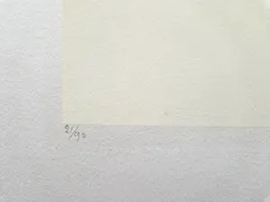 Metten Koornstra - 1972 - karakteristieke & grote Litho "stilleven met vaasje en kers" gesigneerd kopen? Bied vanaf 1!