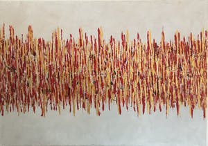 John Foppen - Rapsody In Gold + Red. ...... # K02 . XL. kopen? Bied vanaf 169!