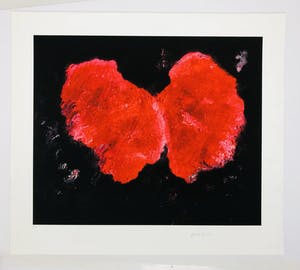 Armando - zonder titel kopen? Bied vanaf 1!