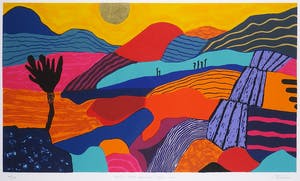 Ronald Boonacker - Zeefdruk, Joshua Tree National Park USA - Ingelijst kopen? Bied vanaf 70!