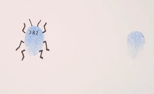 Ineke van Harten - Zeefdruk, Bluefinger kopen? Bied vanaf 1!