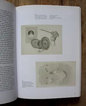 Eugène Brands - boek: de verborgen wereld van Eugene Brands + Cobra de weg naar spontaniteit kopen? Bied vanaf 55!