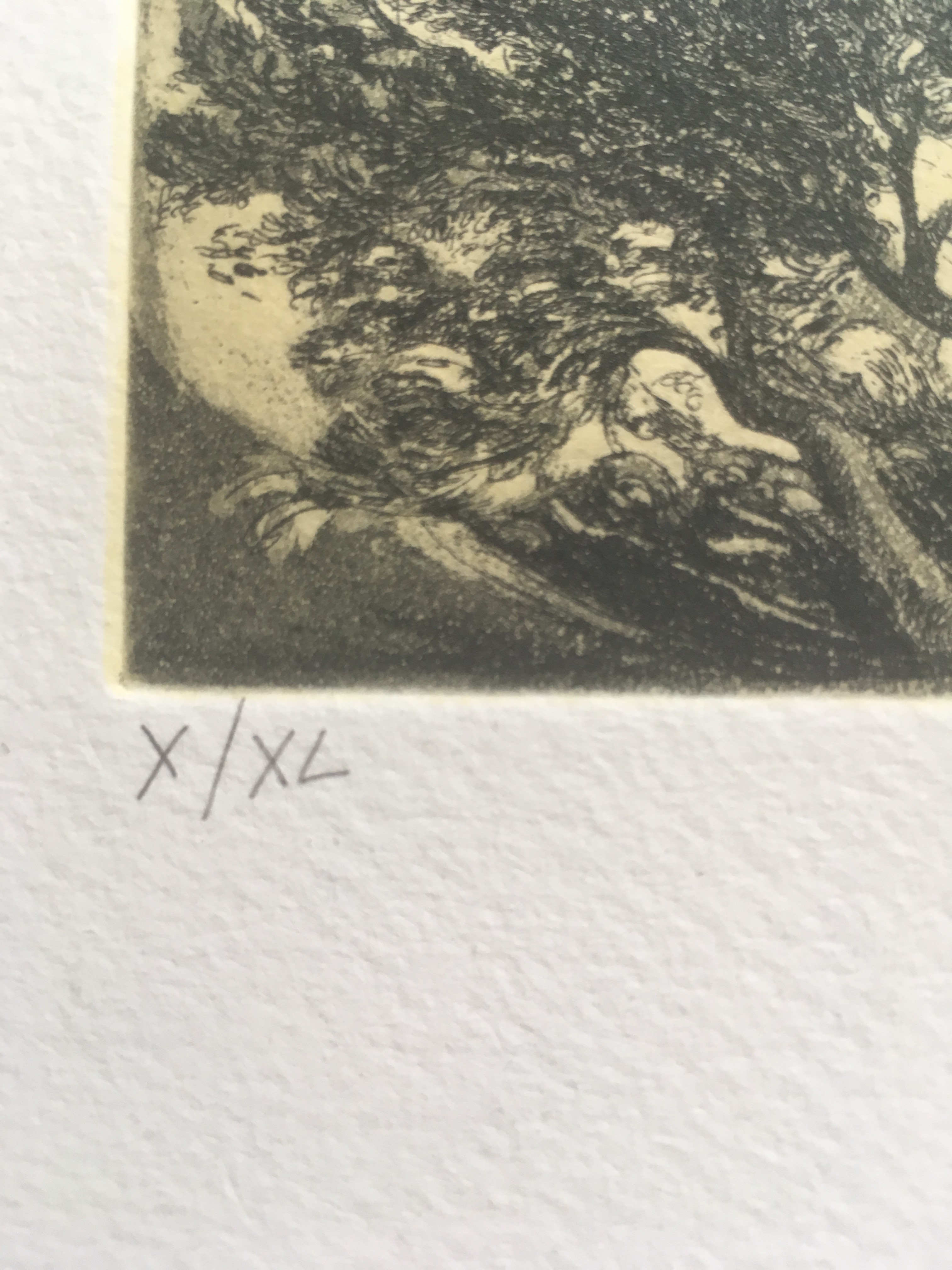 Niet of onleesbaar gesigneerd - Ets met paarden hemelvaart kopen? Bied vanaf 1!