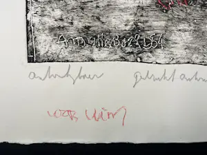 Anton Heyboer - Kleed, ets uit 1966, opnieuw gedrukt in 1987, handgekleurd kopen? Bied vanaf 100!