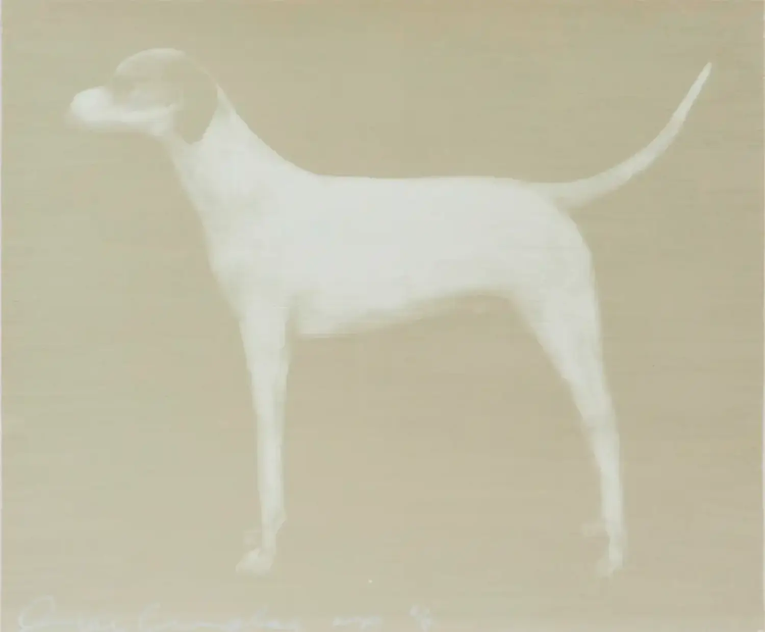 Joe Andoe (1955)