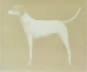 Joe Andoe - Ingelijste zeefdruk: Small Dog (Putty) - 1998 kaufen? Bieten Sie von 295!