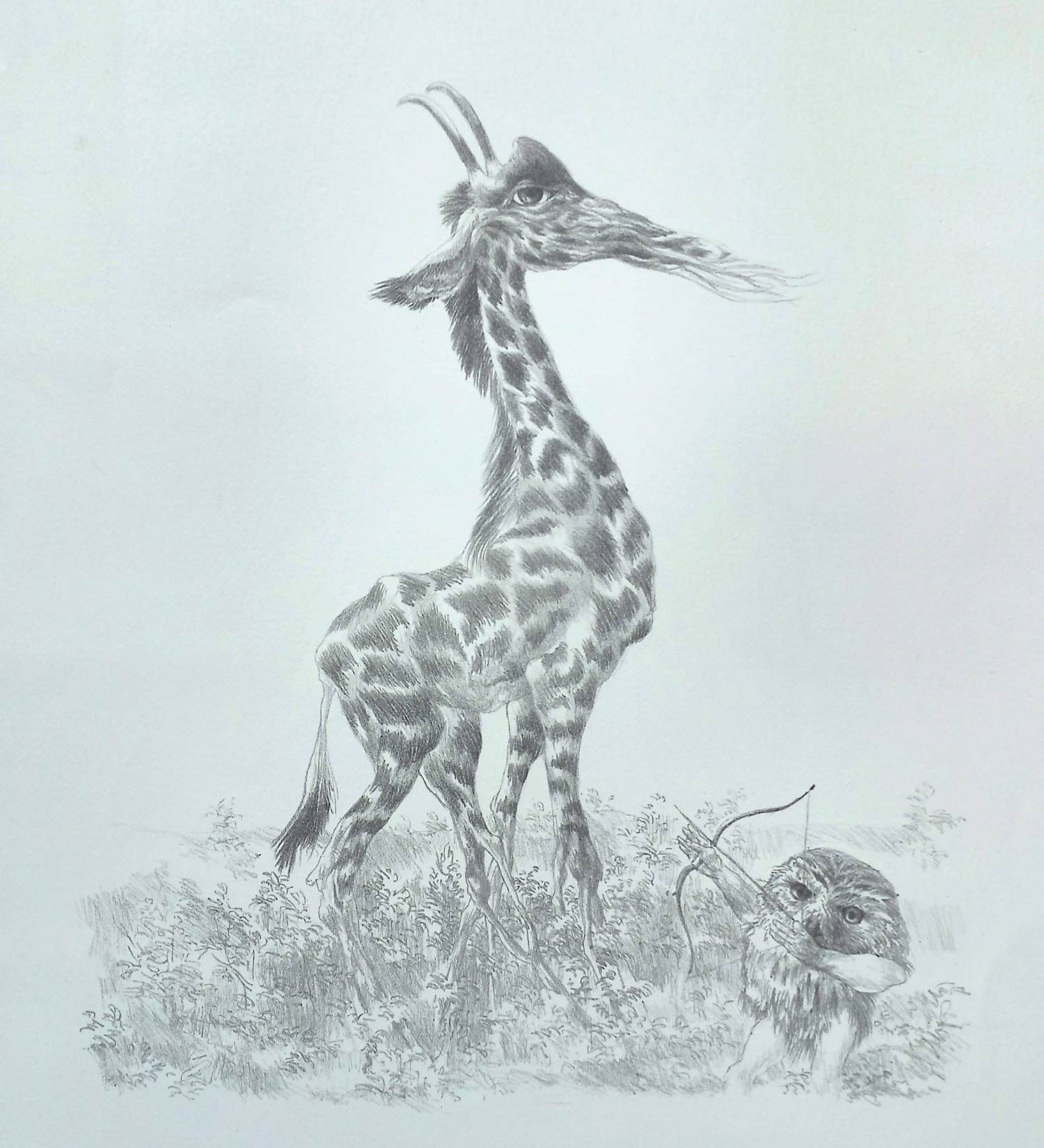 Peter Vos - De ontdekking van de giraffe, litho kopen? Bied vanaf 75!