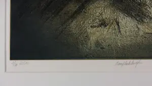 Veerle Rooms - Gemengde druktechnieken, Aanplakbrief- Ingelijst kopen? Bied vanaf 35!