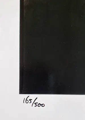 Anton Corbijn - Bruce Cockburn gesigneerde foto kopen? Bied vanaf 125!