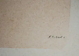 Maria Sybilla Merian - 2 boeken, 2 gravures (19e Eeuw) kopen? Bied vanaf 75!