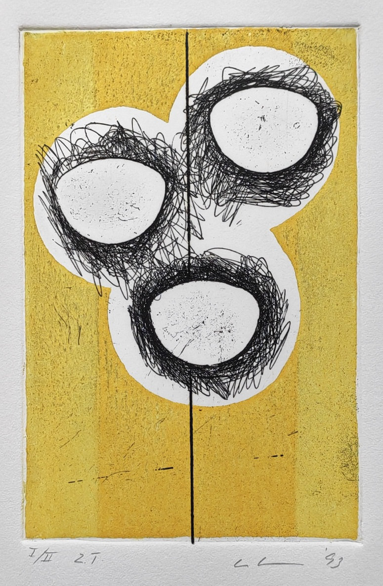 Buy Thomas Ankum - Ets, zonder titel, mint 1993, oplage 2 ex.? Bid from 60!