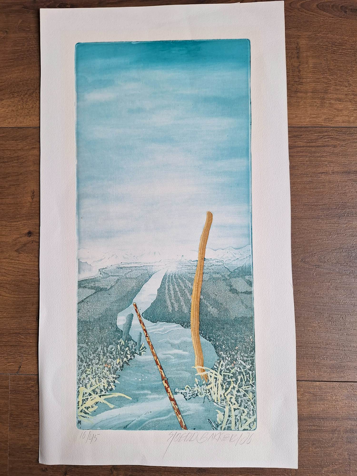 Sjoerd Bakker - Onbekend kopen? Bied vanaf 40!