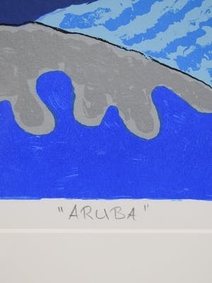 Ronald Boonacker - Aruba kopen? Bied vanaf 50!