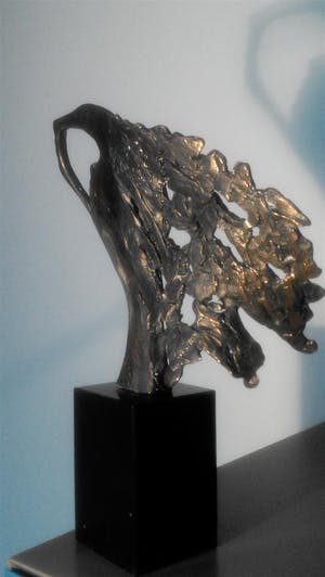 Bernadette Leijdekkers - Vrouw die naar de toekomst kijkt kopen? Bied vanaf 59!