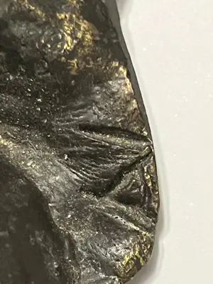 Astrid Veldhuyzen-Koppen - De droom kopen? Bied vanaf 60!