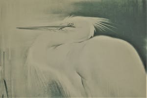 Han van Meegeren - 'Zilverreiger' kopen? Bied vanaf 50!