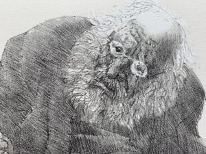 Peter Vos - litho | 'Oude man met uil' | 1986 kopen? Bied vanaf 225!