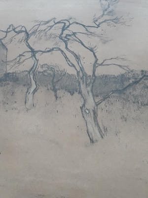 Ype Wenning - Landschap. kopen? Bied vanaf 49!