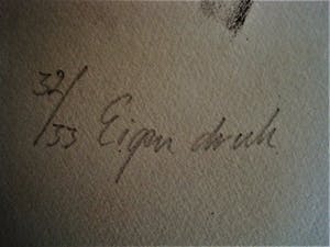 Niet of onleesbaar gesigneerd - Grote gesigneerde Lithografie "Confrontation" oplage 33 exemplaren kopen? Bied vanaf 10!