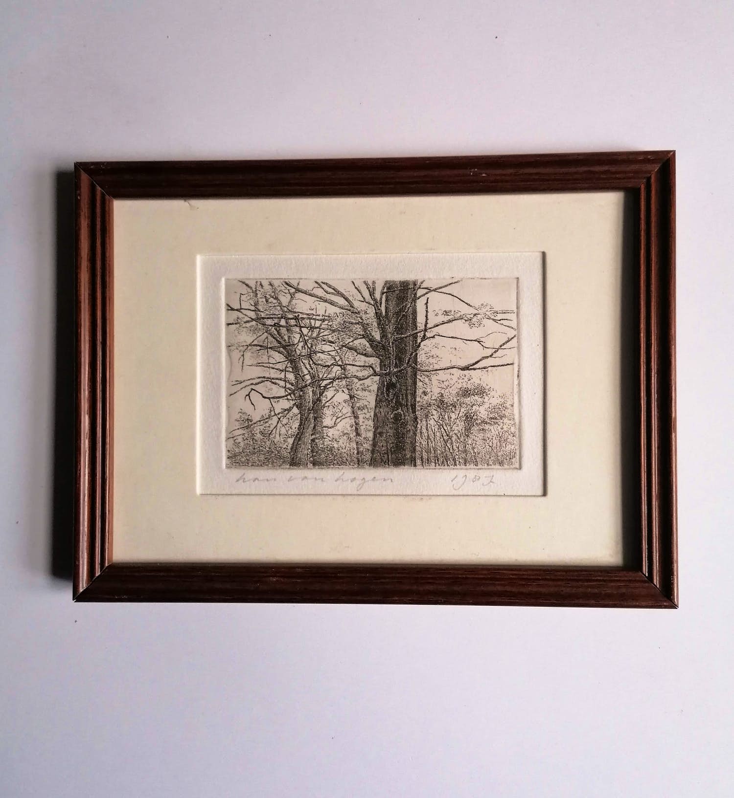 Han van Hagen - Bomen in landschap kopen? Bied vanaf 10!