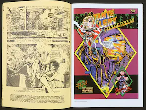 Woody van Amen - en anderen: Mirror Spiegel Miroir Kunstenaars boek + Extra Peter Pontiac kopen? Bied vanaf 40!