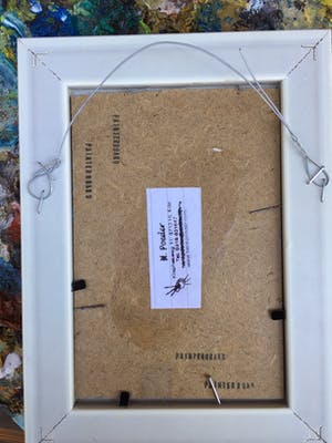 Henk Poeder - Winterkoning kopen? Bied vanaf 40!