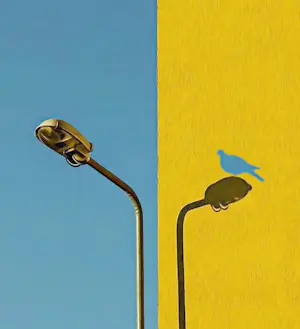 Mr Strange - De blauwe vogel kopen? Bied vanaf 85!