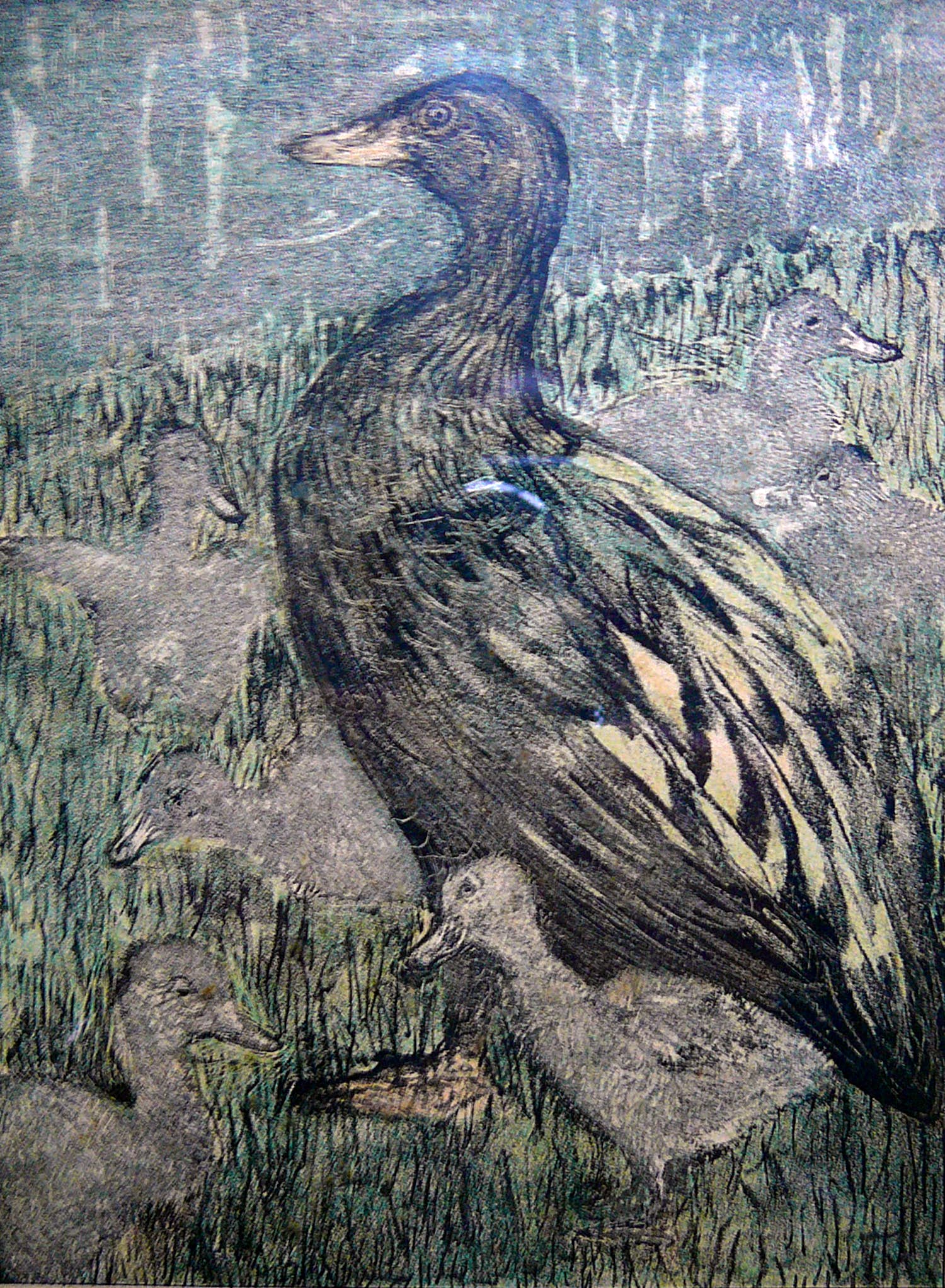 Theo van Hoytema - Eendjes aan de vijver -litho circa 1900- kopen? Bied vanaf 45!