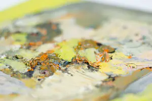 Irene van den Bos - acrylverf op canvas kopen? Bied vanaf 45!