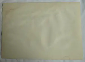 Theo van Hoytema - Litho, Drijvend nest van een dodaars, Texel - 1913 kopen? Bied vanaf 10!