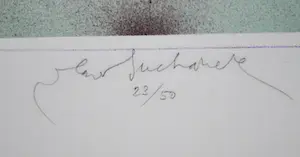 Vladimir Suchanek - Happy Birthday - kleurenlitho kopen? Bied vanaf 65!