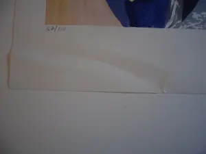 Sandra Jayat - Litho, Titel, Inpromptu Nocturne kaufen? Bieten Sie von 20!