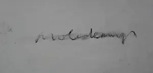 Nico Molenkamp - Houtskooltekening: tijger kopen? Bied vanaf 375!