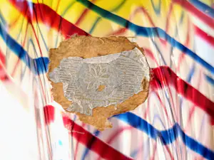 Val-Saint-Lambert - Vaas kopen? Bied vanaf 70!