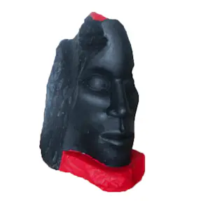 Bert Witte - I am NOT your NEGRO! kopen? Bied vanaf 190!