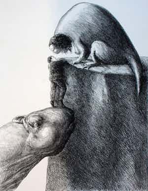 Roland Topor - Litho: Aide verkocht voor € 85!