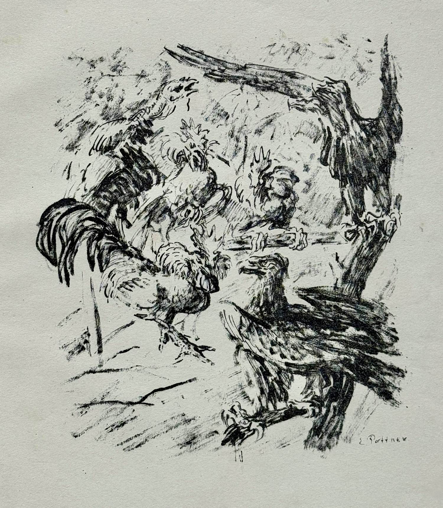 Emil Pottner - Hahn und Adler Der neue Kämpe. Original-Lithographie 1915 kopen? Bied vanaf 50!