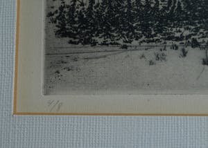 Fred Fritschij - Ingelijste ets , Landschap III – gesigneerd – 1971 – nr 4 van 8 kopen? Bied vanaf 42!
