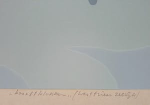 Doris Groeneveld - Basaltblokken (Westfriese zeedijk), zeefdruk kopen? Bied vanaf 35!