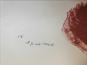 Armando - Litho, Der Kopf Rot (Groot!) kopen? Bied vanaf 350!