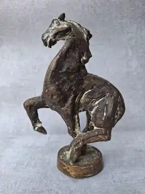 Jos Dirix - Paard vendu pour 385€ !