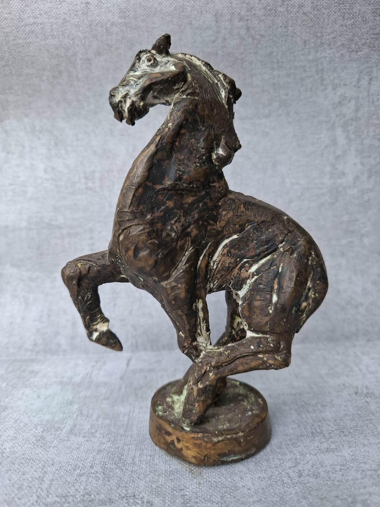 Jos Dirix - Paard kopen? Bied vanaf 399!