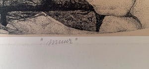 Gerard van Rooy - Muur. kopen? Bied vanaf 25!