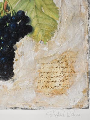 Starlie Sokol-Hohne - Druiventros kopen? Bied vanaf 1!